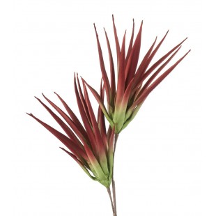 L'Oca Nera Aloe Selvatico Marsala in Eva-POLIETILENE ESPANSO  Fiore Artificiale