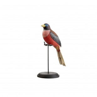 L’Oca Nera uccello decorativo da mobile Trogone delle Filippine h 28 cm