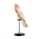 L’Oca Nera uccello decorativo da mobile Cacatua Leadbeater h 34 cm