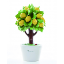 Gli Alberelli ALBERO LIMONE Profumatore